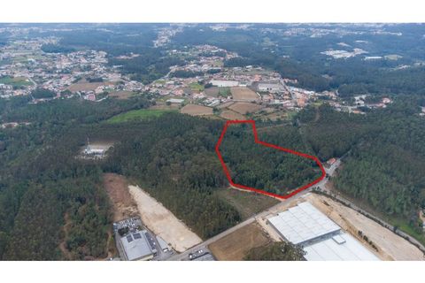 Helårsgrund i Ovar, Aveiro, Ovar - € 399.900 | Ref: 34550891 - foto 8