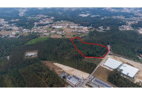 Helårsgrund i Ovar, Aveiro, Ovar - € 399.900 | Ref: 34550891 - foto 9