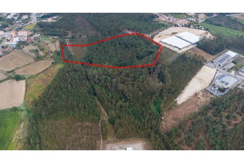 Helårsgrund i Ovar, Aveiro, Ovar - € 399.900 | Ref: 34550891 - foto 11