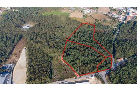 Helårsgrund i Ovar, Aveiro, Ovar - € 399.900 | Ref: 34550891 - foto 13