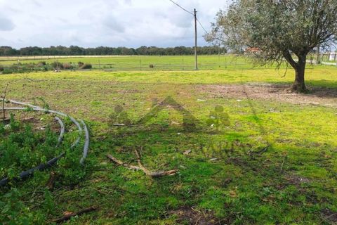 Villa i Palmela, Setubal, Palmela - € 399.000 | Ref: HAB_206 - foto 16