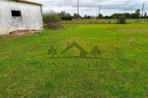 Villa i Palmela, Setubal, Palmela - € 399.000 | Ref: HAB_206 - foto 24