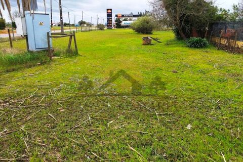 Villa i Palmela, Setubal, Palmela - € 399.000 | Ref: HAB_206 - foto 29