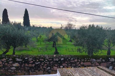 Byhus i Barbacena e Vila Fernando, Portalegre, Barbacena e Vila Fernando - € 112.000 | Ref: HAB_198 - foto 30