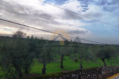 Byhus i Barbacena e Vila Fernando, Portalegre, Barbacena e Vila Fernando - € 112.000 | Ref: HAB_198 - foto 31