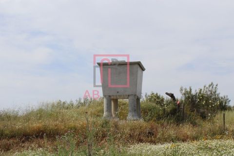 Farm hus i Ourique, Beja, Ourique - € 395.000 | Ref: FIN_47 - foto 8