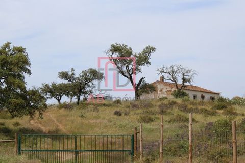 Farm hus i Ourique, Beja, Ourique - € 395.000 | Ref: FIN_47 - foto 14
