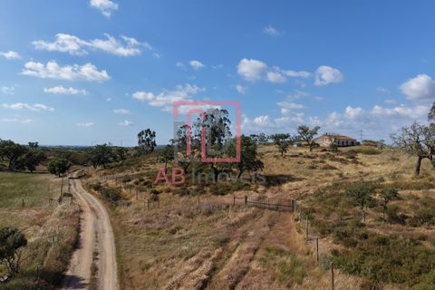 Farm hus i Ourique, Beja, Ourique - € 395.000 | Ref: FIN_47 - foto 15
