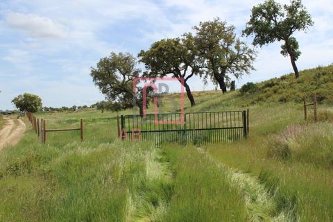 Farm hus i Ourique, Beja, Ourique - € 395.000 | Ref: FIN_47 - foto 26