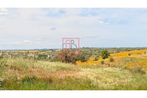 Farm hus i Ourique, Beja, Ourique - € 395.000 | Ref: FIN_47 - foto 28
