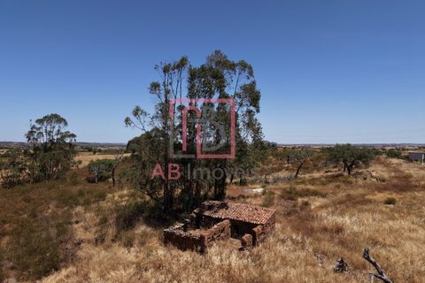 Farm hus i Ourique, Beja, Ourique - € 395.000 | Ref: FIN_47 - foto 5