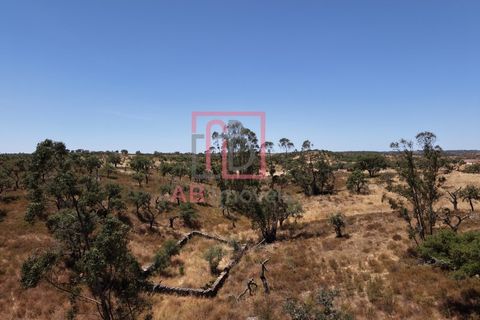 Farm hus i Ourique, Beja, Ourique - € 395.000 | Ref: FIN_47 - foto 13