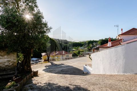 Villa a Agueda, Aveiro, Agueda - € 2.000/mes | Ref: MCI-0218 - foto 26