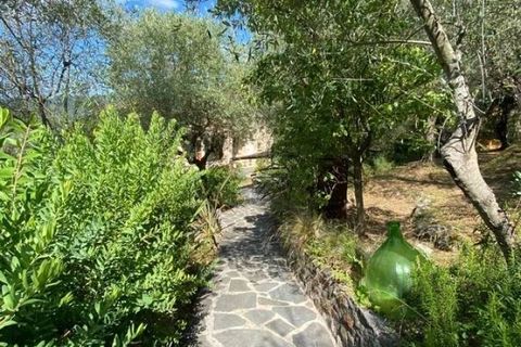 Landejendom i Camaiore, Lucca, Camaiore - € 1.500.000 | Ref: 1704 - foto 9