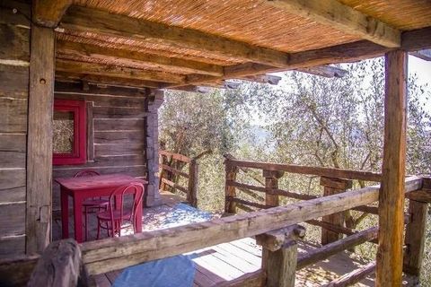 Landejendom i Camaiore, Lucca, Camaiore - € 1.500.000 | Ref: 1704 - foto 10