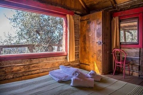 Landejendom i Camaiore, Lucca, Camaiore - € 1.500.000 | Ref: 1704 - foto 25