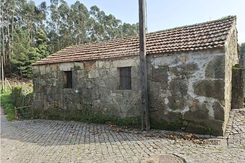 Villa i Lamelas e guimarei, Porto, Lamelas e guimarei - € 98.000 | Ref: 120781561-7 - foto 2