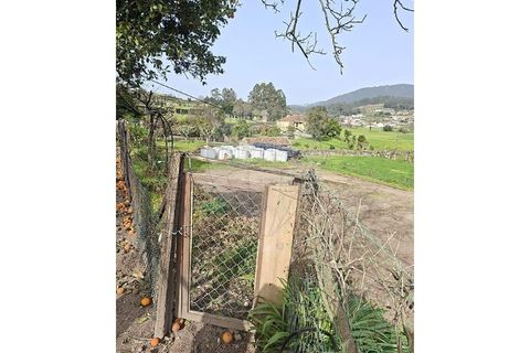 Villa i Lamelas e guimarei, Porto, Lamelas e guimarei - € 98.000 | Ref: 120781561-7 - foto 10
