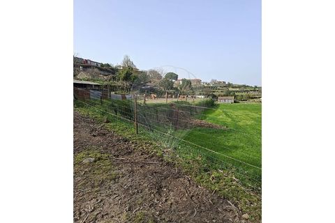 Villa i Lamelas e guimarei, Porto, Lamelas e guimarei - € 98.000 | Ref: 120781561-7 - foto 15