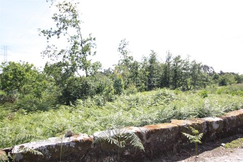 Helårsgrund i Braga, Braga, Braga - € 130.000 | Ref: 237260026 - foto 4