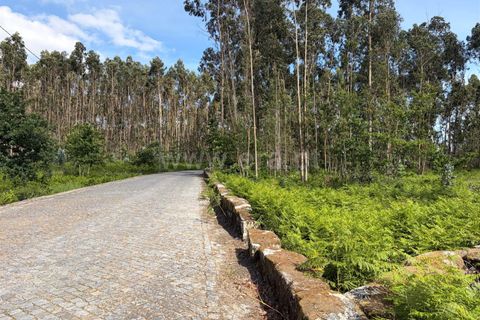 Helårsgrund i Braga, Braga, Braga - € 130.000 | Ref: 237260026 - foto 5