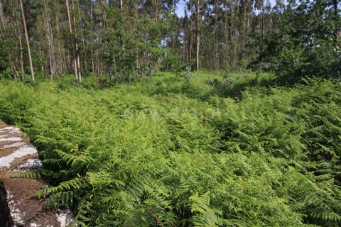Helårsgrund i Braga, Braga, Braga - € 130.000 | Ref: 237260026 - foto 6