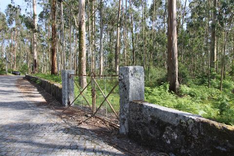 Helårsgrund i Braga, Braga, Braga - € 130.000 | Ref: 237260026 - foto 7