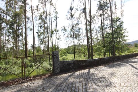 Helårsgrund i Braga, Braga, Braga - € 130.000 | Ref: 237260026 - foto 8