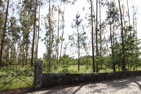 Helårsgrund i Braga, Braga, Braga - € 130.000 | Ref: 237260026 - foto 9