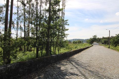 Helårsgrund i Braga, Braga, Braga - € 130.000 | Ref: 237260026 - foto 10