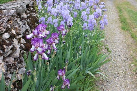 Villa a Martiel, Aveyron, Martiel - € 375.000 | Ref: 07152 - foto 7