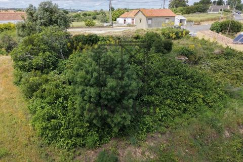Villa i Alenquer, Lisbon, Alenquer - € 150.000 | Ref: CAS_185 - foto 5