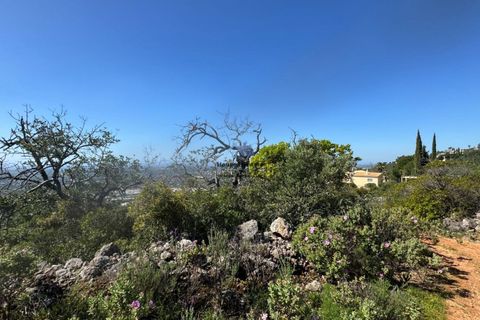 Helårsgrund i Faro, Faro, Faro - € 60.000 | Ref: TERR 543 - foto 2