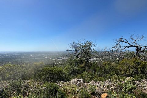 Helårsgrund i Faro, Faro, Faro - € 60.000 | Ref: TERR 543 - foto 3