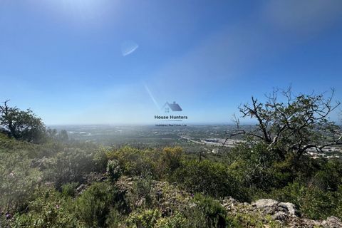 Helårsgrund i Faro, Faro, Faro - € 60.000 | Ref: TERR 543 - foto 4