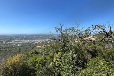 Helårsgrund i Faro, Faro, Faro - € 60.000 | Ref: TERR 543 - foto 7