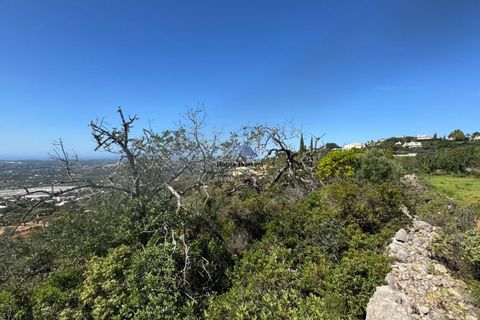 Helårsgrund i Faro, Faro, Faro - € 60.000 | Ref: TERR 543 - foto 8