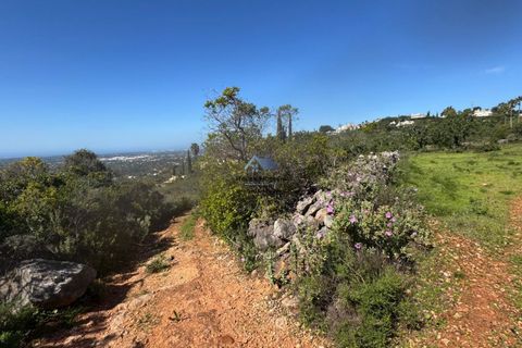 Helårsgrund i Faro, Faro, Faro - € 60.000 | Ref: TERR 543 - foto 11