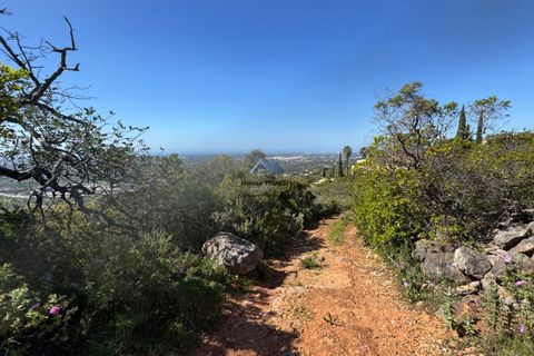 Helårsgrund i Faro, Faro, Faro - € 60.000 | Ref: TERR 543 - foto 12