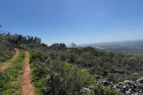 Helårsgrund i Faro, Faro, Faro - € 60.000 | Ref: TERR 543 - foto 13