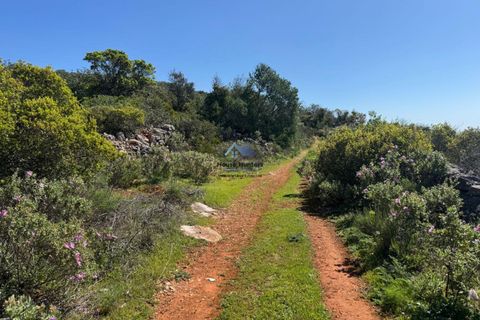 Helårsgrund i Faro, Faro, Faro - € 60.000 | Ref: TERR 543 - foto 15