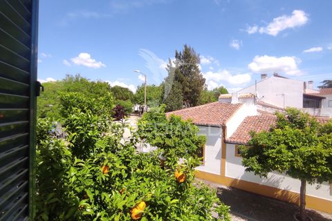Erhvervsejendom i Beja, Beja, Beja - € 152.000 | Ref: 060552 - foto 16