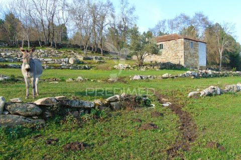 Landejendom i Vila Real, Vila Real, Vila Real - € 100.000 | Ref: 060704 - foto 1