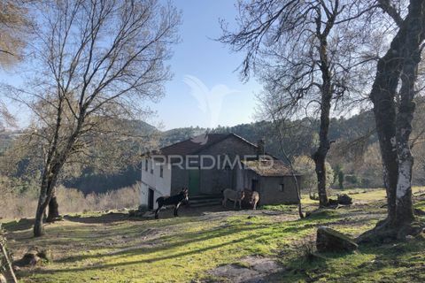 Landejendom i Vila Real, Vila Real, Vila Real - € 100.000 | Ref: 060704 - foto 3