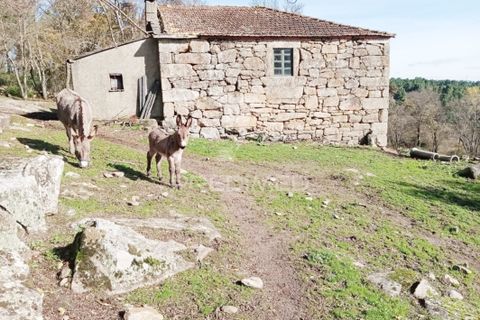 Landejendom i Vila Real, Vila Real, Vila Real - € 100.000 | Ref: 060704 - foto 5