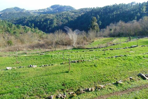 Landejendom i Vila Real, Vila Real, Vila Real - € 100.000 | Ref: 060704 - foto 22