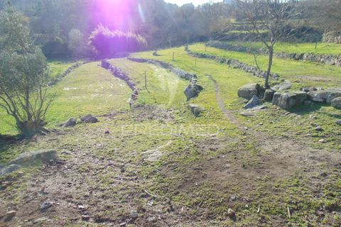Landejendom i Vila Real, Vila Real, Vila Real - € 100.000 | Ref: 060704 - foto 25