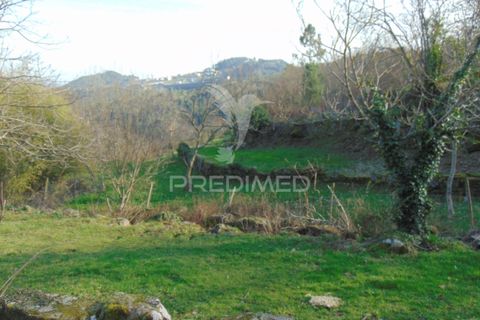 Landejendom i Vila Real, Vila Real, Vila Real - € 100.000 | Ref: 060704 - foto 26