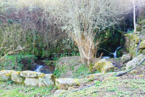 Landejendom i Vila Real, Vila Real, Vila Real - € 100.000 | Ref: 060704 - foto 28
