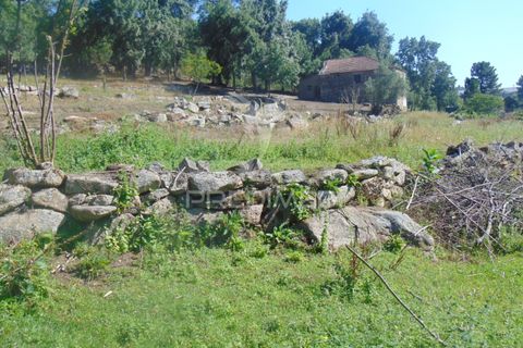 Landejendom i Vila Real, Vila Real, Vila Real - € 100.000 | Ref: 060704 - foto 31